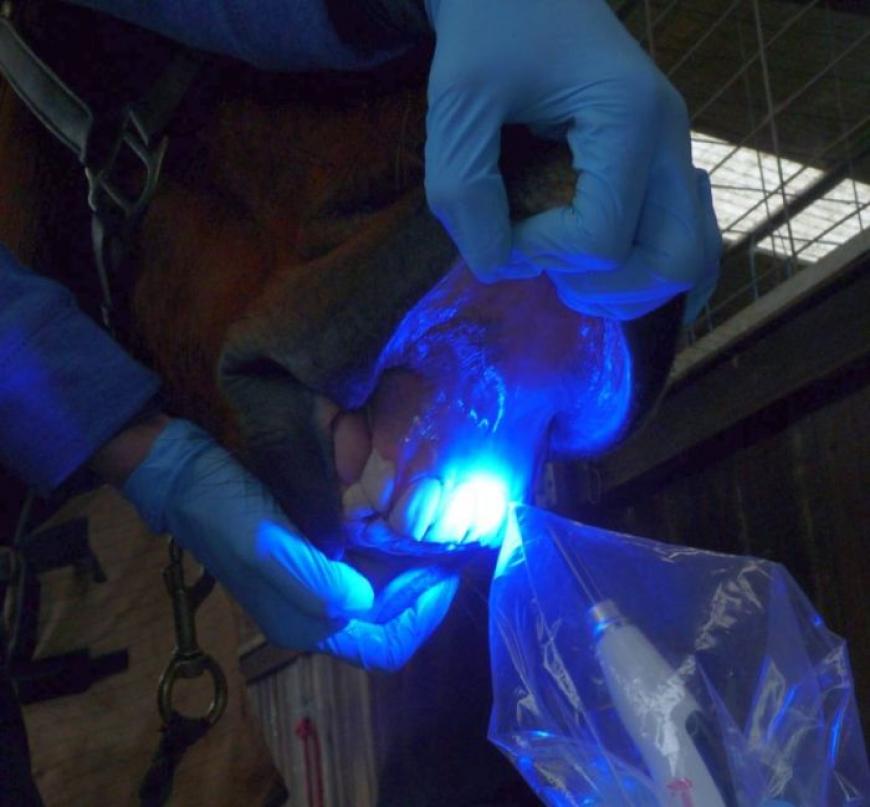Complex Procedures